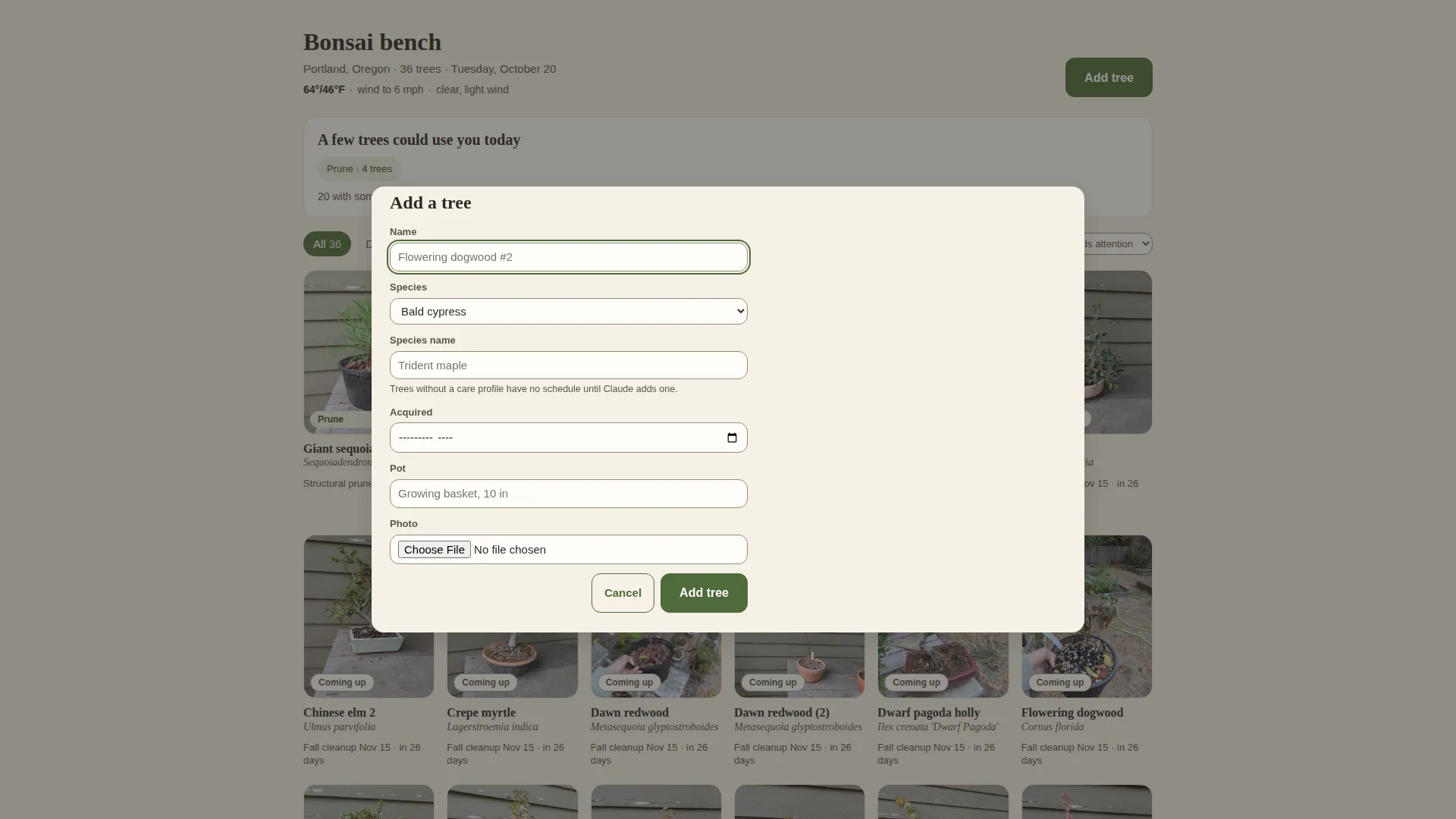 The Add a tree form over the home screen: fields for name, species, species name, acquisition date, pot and a photo, with a note that trees without a care profile have no schedule until one is added.